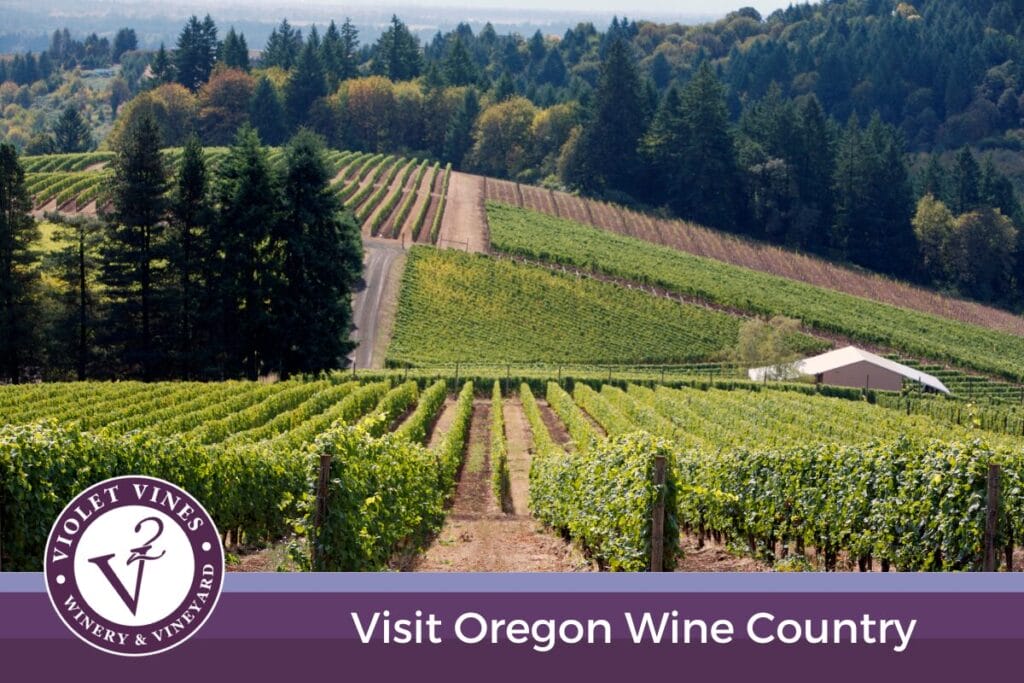 visit oregon wine country (1200 x 800 px)